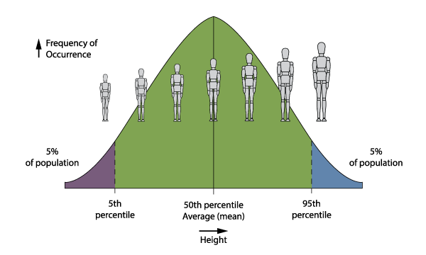 Ergoman Diagram Height Ergoman Diagram Height